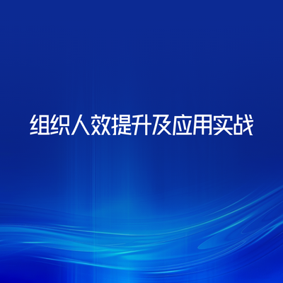组织人效提升及应用实战