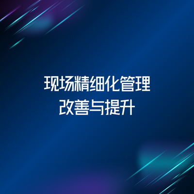 现场精细化管理改善与提升