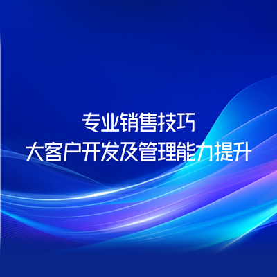 专业销售技巧-大客户开发及管理能力提升
